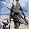 The Northwest Company STAR WARS EPISODE 7 REBEL REY Blankets