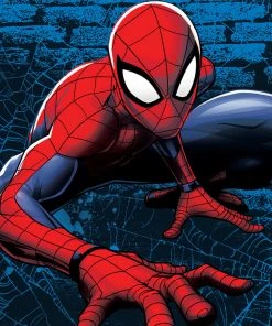 The Northwest Company SPIDERMAN WEB LINES Blankets